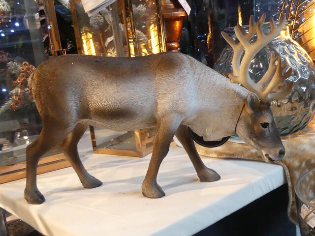 Scheinbar nicht Rudolf :-)))))