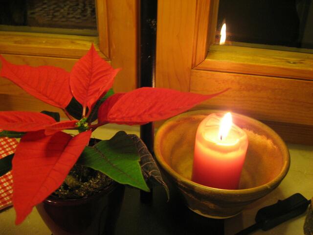 Backen im Advent...