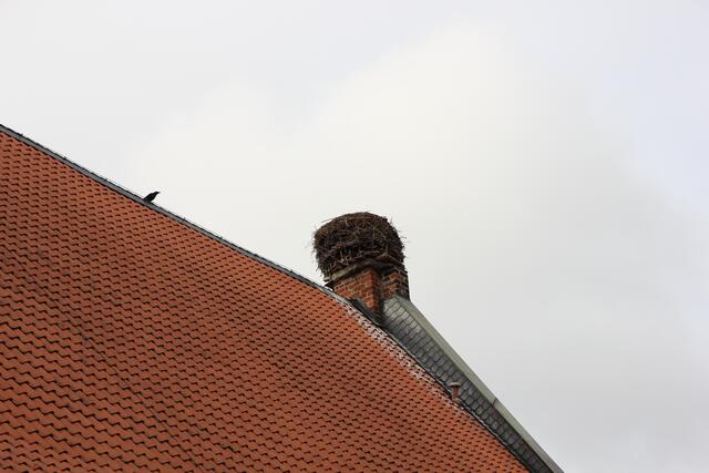 Sehr toll war für mich zu sehen, das Odni's Raben im Kloster auf dem Dach im Storchennest gelandet sind.