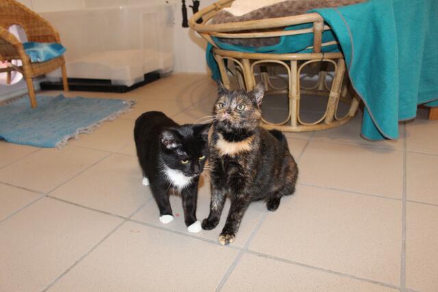 Spencer und Nomi (Dreamteam)