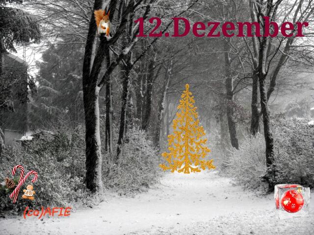 Auf dem Weg Richtung Weihnachten.....