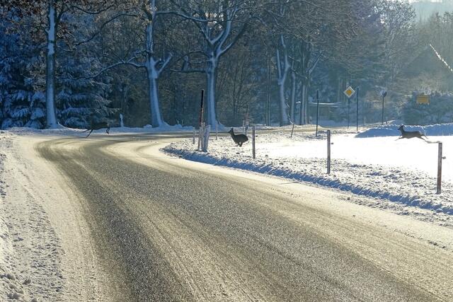 kurz vor Ortseingang Neugrumbach