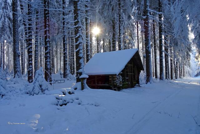 zwischen Grumbach und Königswalde