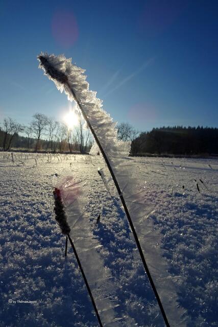 zwischen Mildenau und Neugrumbach