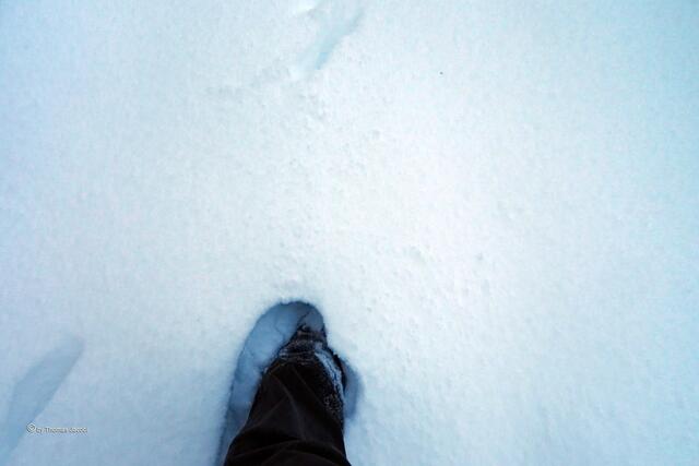 zwischen Grumbach und Königswalde