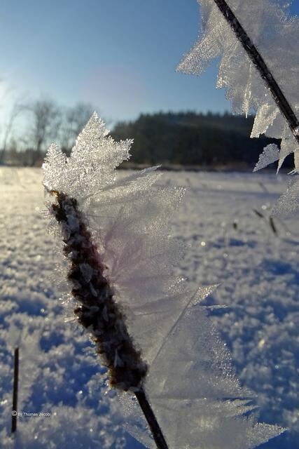 zwischen Mildenau und Neugrumbach
