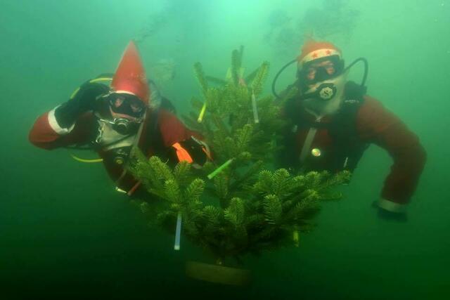 Auf dem Weg | Foto: Armin Trutnau