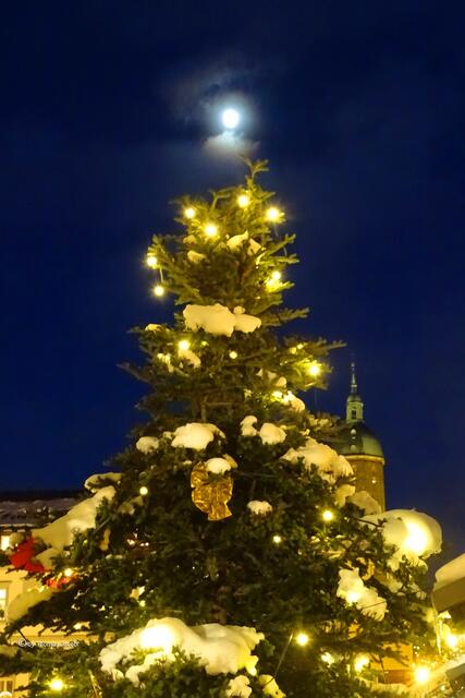 Mal ein natürlicher Baumschmuck. 🌛