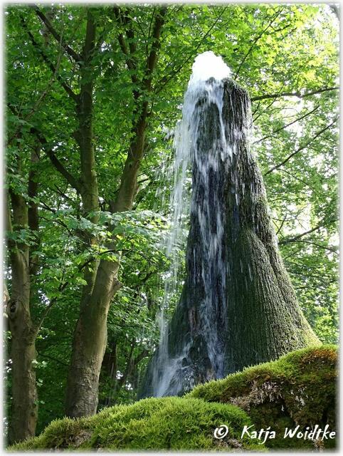 Am Wasserbaum in Ockensen: https://www.myheimat.de/salzhemmendorf/natur/rund-um-den-ith-am-wasserbaum-von-ockensen-d2909395.html (Foto: Katja Woidtke)