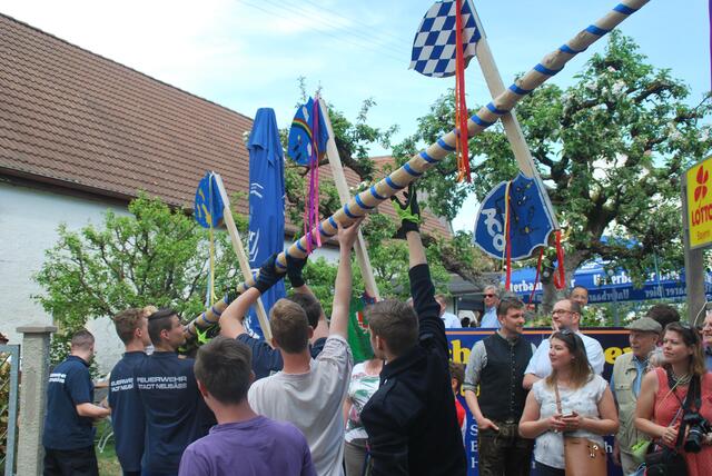Aufstellen des Kinder-Maibaums | Foto: Klaus Gendner