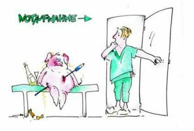 Denkt an die Tiere zu Silvester