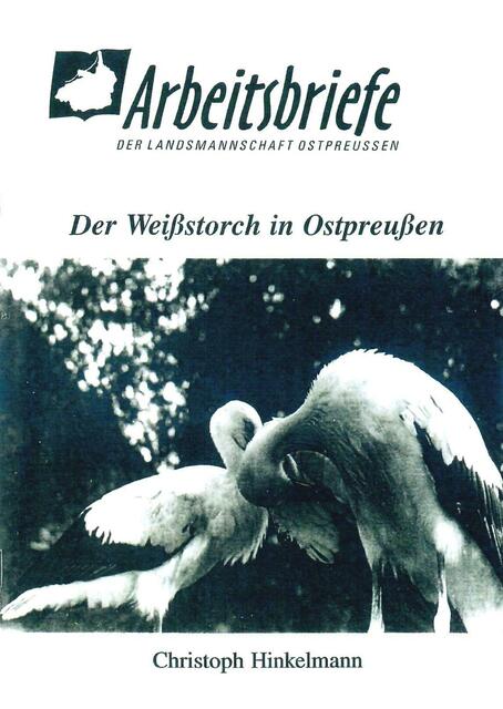 Der Weißstorch in Ostpreußen > http://www.ostpreussen.de/uploads/media/stoerche.pdf | Foto: wie vor