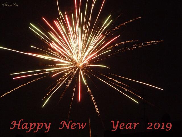 Silvestergrüße ...