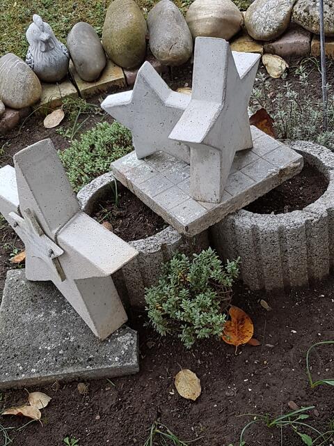 im Rondell, das ich bald verändern will !