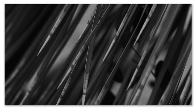 Linien und Formen