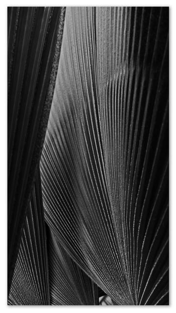 Linien