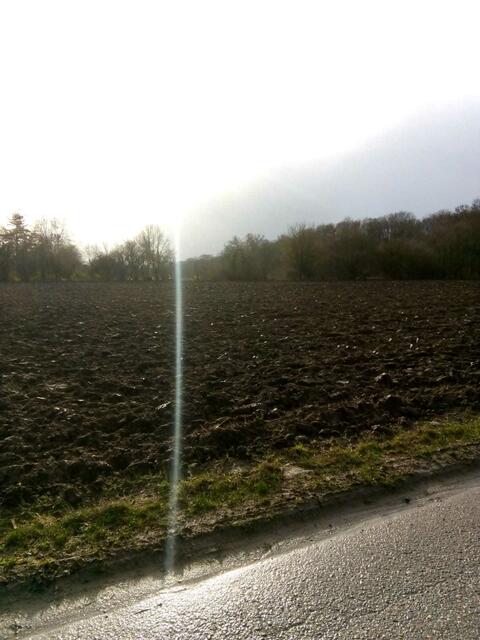 Ein Sonnenstrahl hat es geschafft sich durch das grau zu drängen !