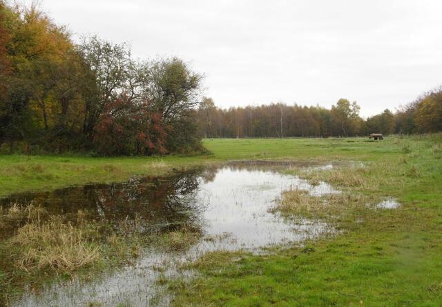 Doch nach dem ersten Hausbau musste der Wald großflächig gerodet und das Land urbar gemacht werden. (Das zum Teil sumpfige Gelände zwischen dem ehemaligen Ostfeld und dem Südschnellweg.)