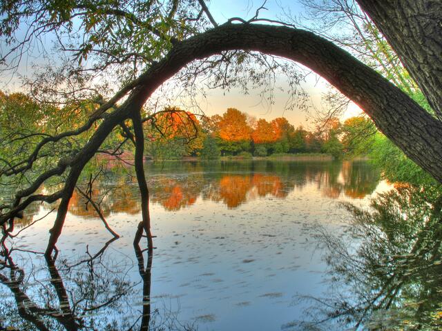 Am Annateich glühen die Bäume zum Sonnenuntergang. | Foto: Christel Wolter
