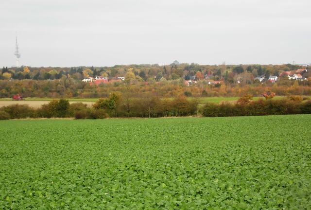 Der Blick von der Feldlandschaft des Kronsberges auf das frühere Ostfeld, das heute besiedelt ist. Im Hintergrund der Tiergarten, ein Überbleibsel des Nordwaldes.