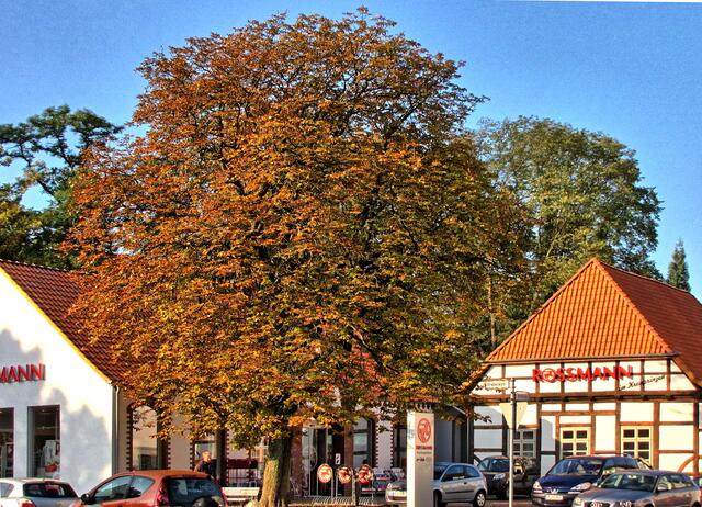 Der ehemalige Kötnerhof 25 Ecke Brabeckstraße/Herthastraße. 200 Jahre war darin eine Gaststätte mit Tanzsaal untergebracht, den Kirchrödern als "Kronprinz" bekannt. 2009 musste der marode Bau vollkommen abgerissen werden und wurde nach altem Vorbild erneuert. | Foto: Christel Wolter