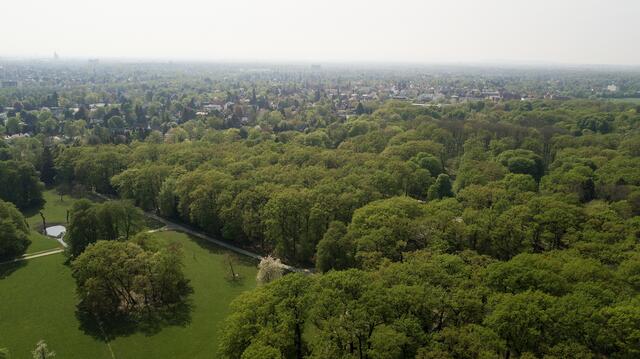 Der Blick über den Tiergarten zum Zentrum Kirchrodes. | Foto: Fabian Wolter
