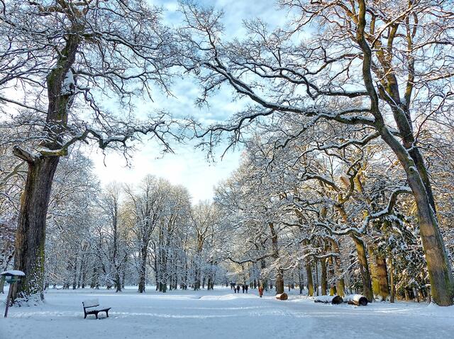 Und natürlich ist Kirchrode mit seiner Umgebung auch im Winter schön, so leider viel zu selten. | Foto: Christel Wolter