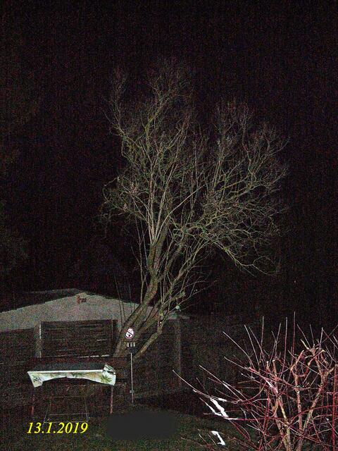 2  13.1.2019 - Sonntagsbilder - Fliederbaum (2) !  Temp: 7:17/4,2°C plus  und  10:22 plus 5,4 /  Es werden Höchsttemperaturen von 6° (gefühlt: 2°) und mäßiger Wind (20 km/h) aus Westsüdwest mit steifen Böen (52 km/h) erwartet. Es kommt zu Niederschlagsmengen von 1 - 3 l/m², die Niederschlagswahrscheinlichkeit beträgt 96%, die Sonne scheint 1 Stunde.