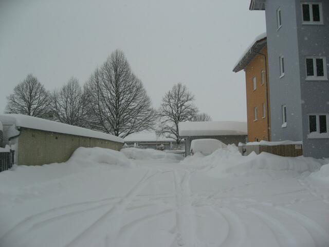 Hinterhof einer Wohnanlage.