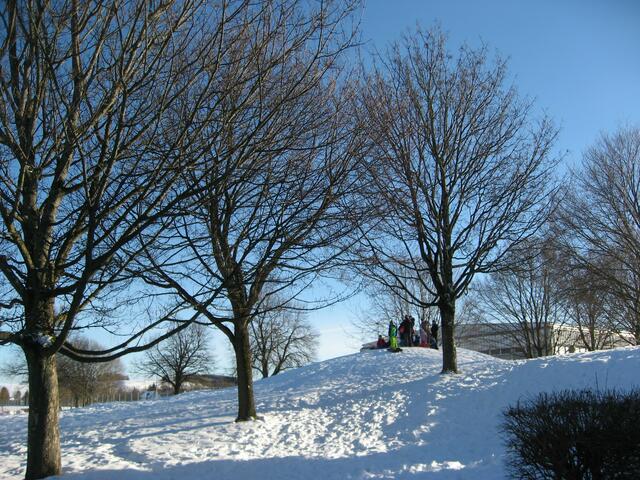 Gerne beende ich meinen kleinen Rundgang mit einem ruhigen Winterbild. So viel Sonne am strahlend-blauen Himmel - ein Geschenk und einfach nur schön.
