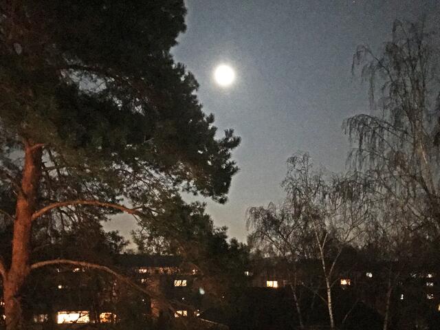 3. 20. Januar 2019 19.30 Uhr. Blick aus dem Fenster in Hannover.