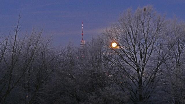 2. 21. Januar 2019 8. Uhr früh. Blick aus dem Fenster in Hannover. 
Der Mond geht langsam unter.