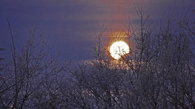 2. 21. Januar 2019 8. Uhr früh. Blick aus dem Fenster in Hannover. 
Der Mond geht langsam unter.