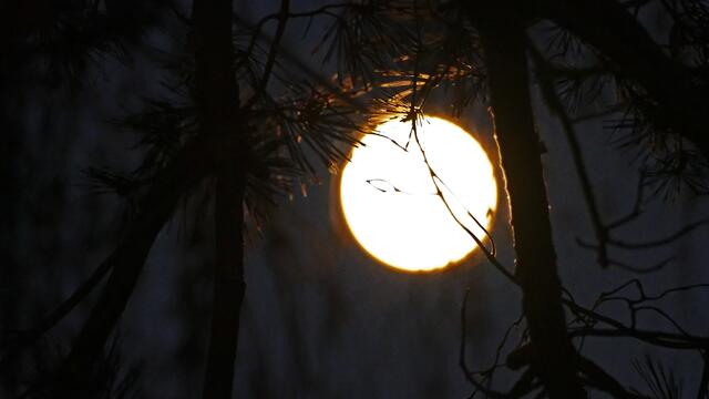 2.  20. Januar 2019 17.00 Uhr. Blick aus dem Fenster in Hannover.