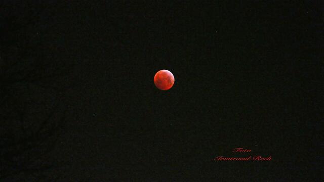 1. 21. Januar 2019. Der Blutmond. Gesehen in Hannover.