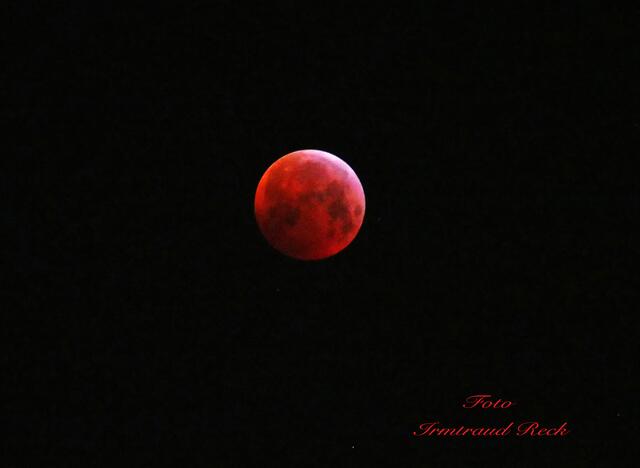 1. 21. Januar 2019. Der Blutmond. Gesehen in Hannover.