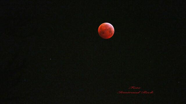 1. 21. Januar 2019. Der Blutmond. Gesehen in Hannover.