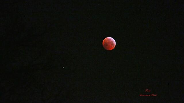 1. 21. Januar 2019. Der Blutmond. Gesehen in Hannover.