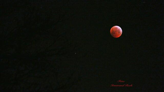1. 21. Januar 2019. Der Blutmond. Gesehen in Hannover.