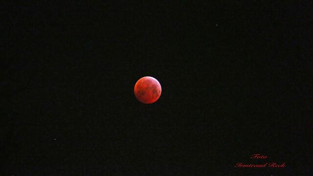 1. 21. Januar 2019. Der Blutmond. Gesehen in Hannover.