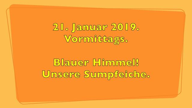21. Januar 2019. Mondfinsternis und Blutmond in Hannover.