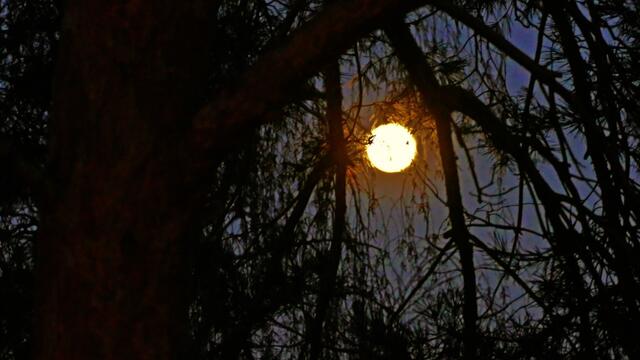21. Januar 2019. Mondfinsternis und Blutmond in Hannover.