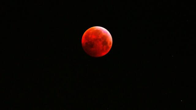 21. Januar 2019. Mondfinsternis und Blutmond in Hannover.