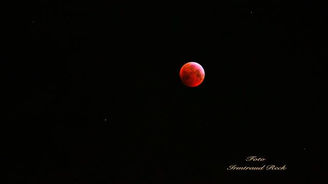 21. Januar 2019. Mondfinsternis und Blutmond in Hannover.