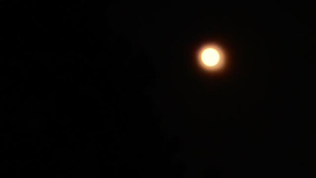 21. Januar 2019. Mondfinsternis und Blutmond in Hannover.