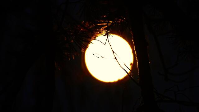 21. Januar 2019. Mondfinsternis und Blutmond in Hannover.
