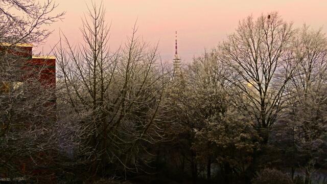 21. Januar 2019. Mondfinsternis und Blutmond in Hannover.