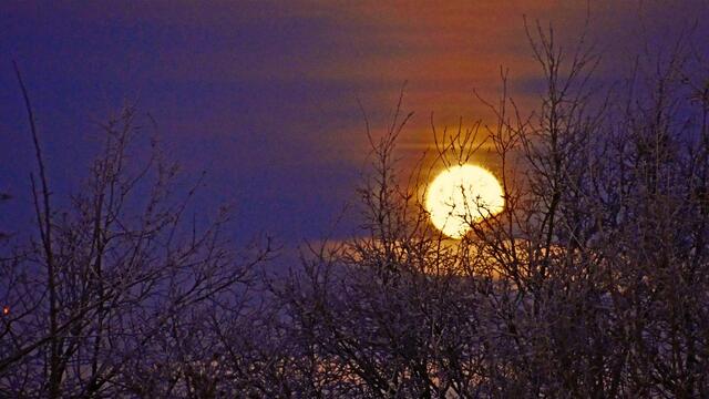 21. Januar 2019. Mondfinsternis und Blutmond in Hannover.