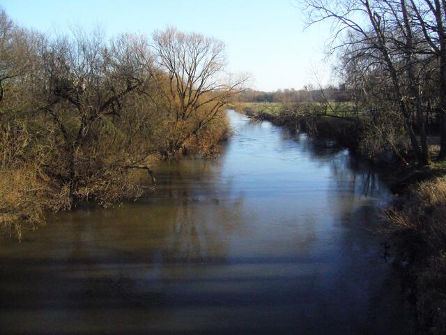 Sondern auch der Biber, dessen Spuren man jetzt im Winter ohne ein dichtes Blattwerk am besten erkennen kann.