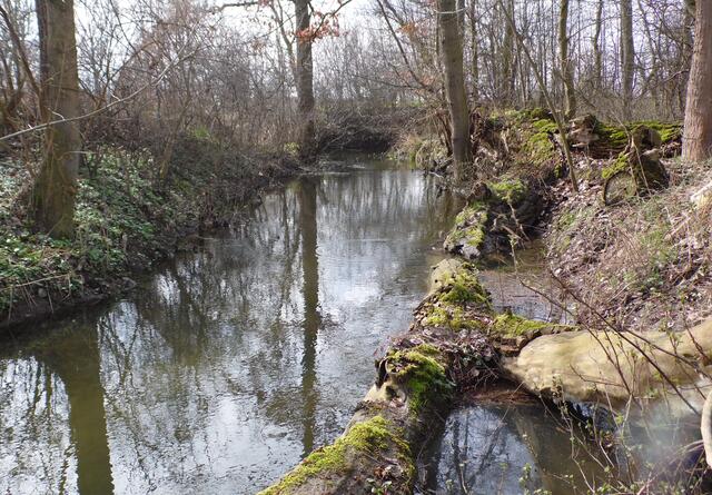 Dadurch macht sich der Fuchsbach, sonst nur ein kleiner Bach, ordentlich breit.